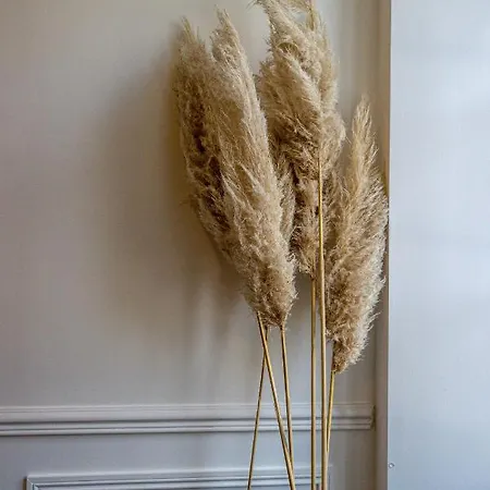 L'haussmann, Rare, Vue Chateau Et Palmiers *